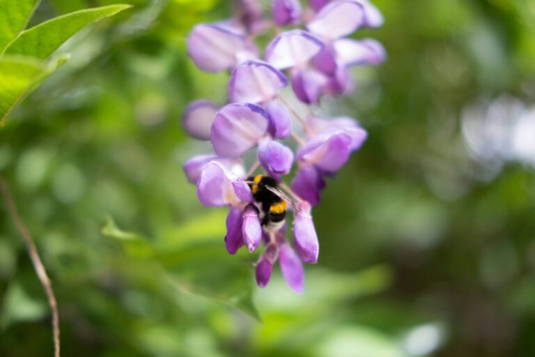 andre-borud-2XvceAnXVis-unsplash